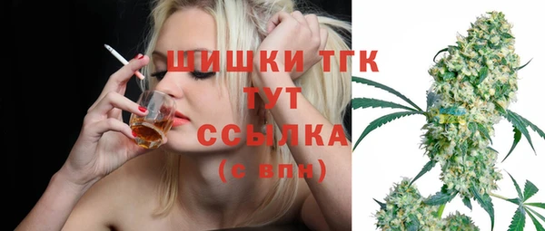 дмт Абаза