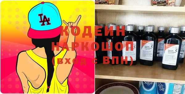 дмт Абаза
